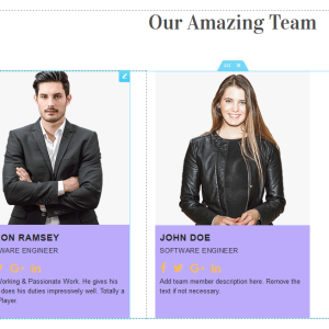 Elementor Team Member Widget